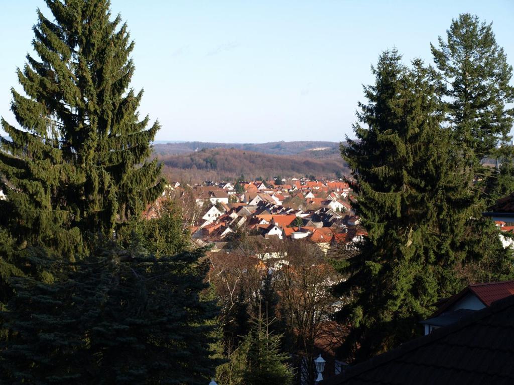Hotel-Pension Ursula Бад-Закса Экстерьер фото